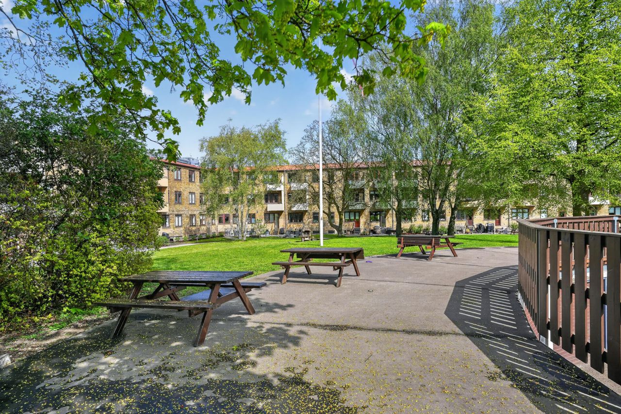 image 01